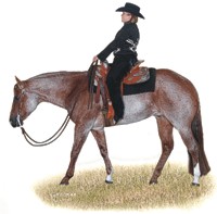 Absolutely No Doubt, Western Pleasure stallion, ridden by Vicki Pitts